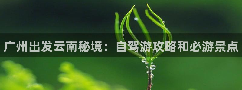 云顶国际集团游戏app|广州出发云南秘境：自驾游攻略和必游景点